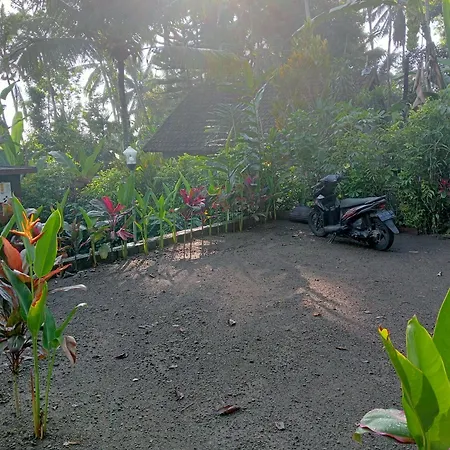 Purana Guest House