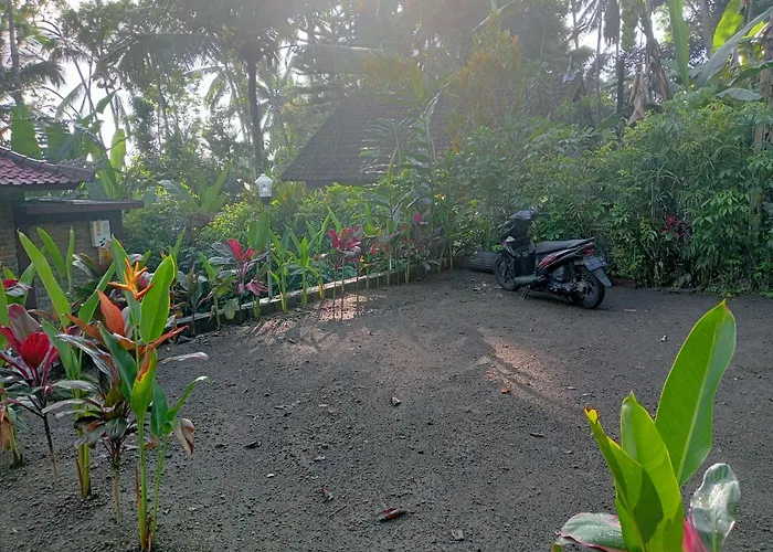 Maison d'hôtes Purana 3*