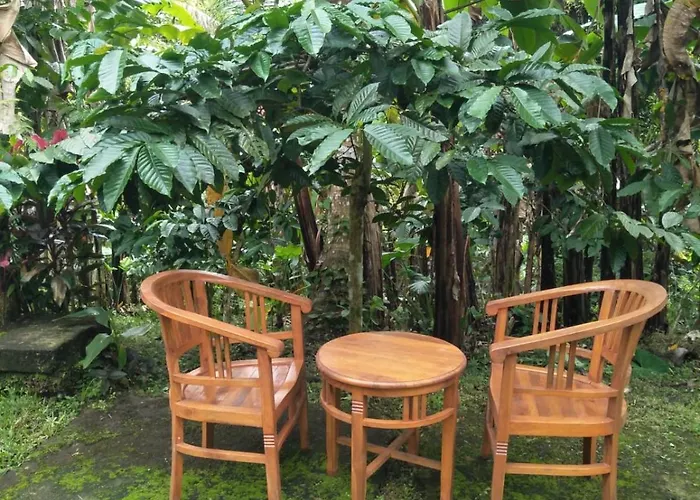 Purana Selemadeg